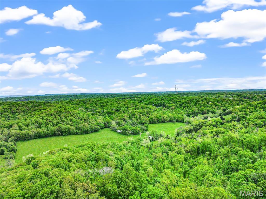 0 Springhill Road Pacific, MO 63069 - Photo 12 of 23