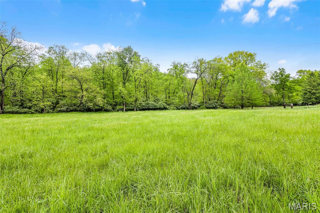 0 Springhill Road Pacific, MO 63069 - Photo 18 of 23