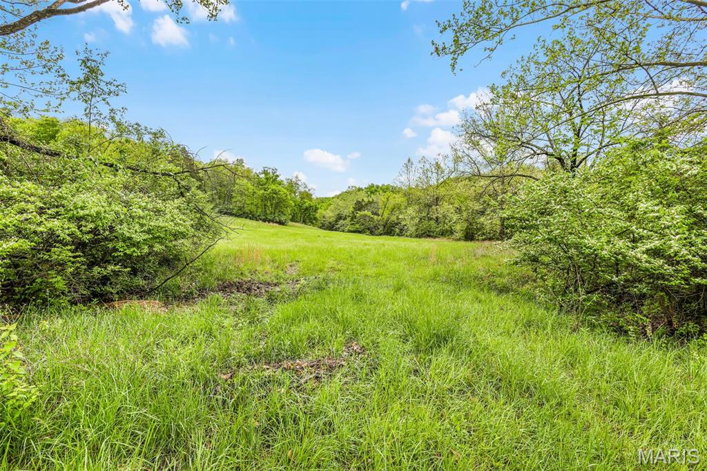 0 Springhill Road Pacific, MO 63069 - Photo 19 of 23