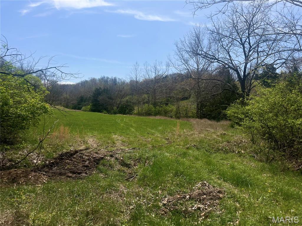 0 Springhill Road Pacific, MO 63069 - Photo 21 of 23