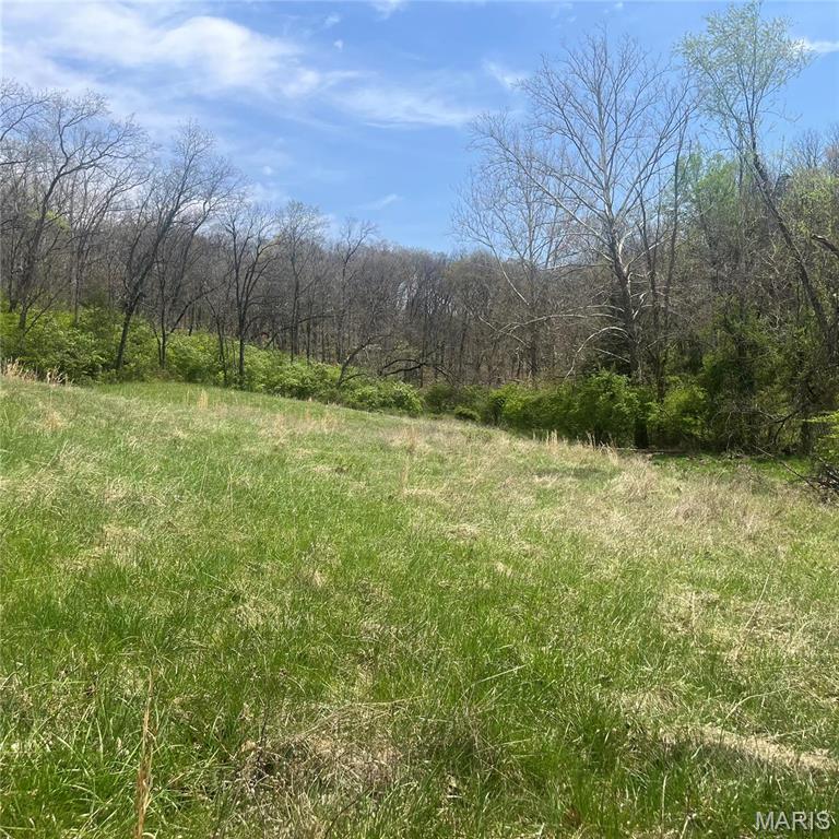 0 Springhill Road Pacific, MO 63069 - Photo 22 of 23