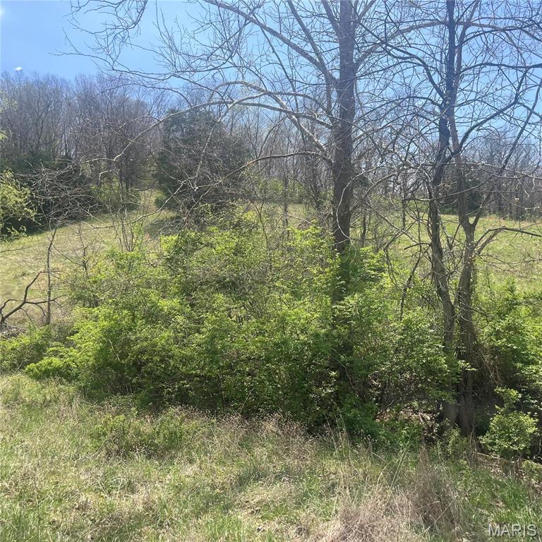 0 Springhill Road Pacific, MO 63069 - Photo 23 of 23