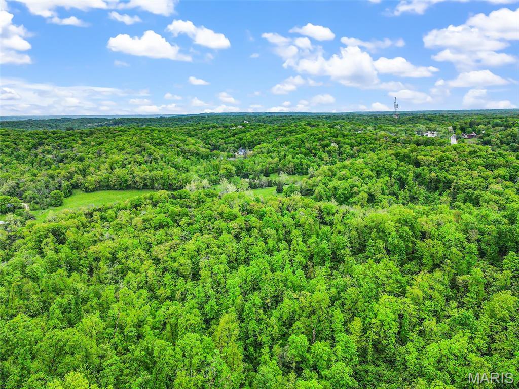 0 Springhill Road Pacific, MO 63069 - Photo 5 of 23