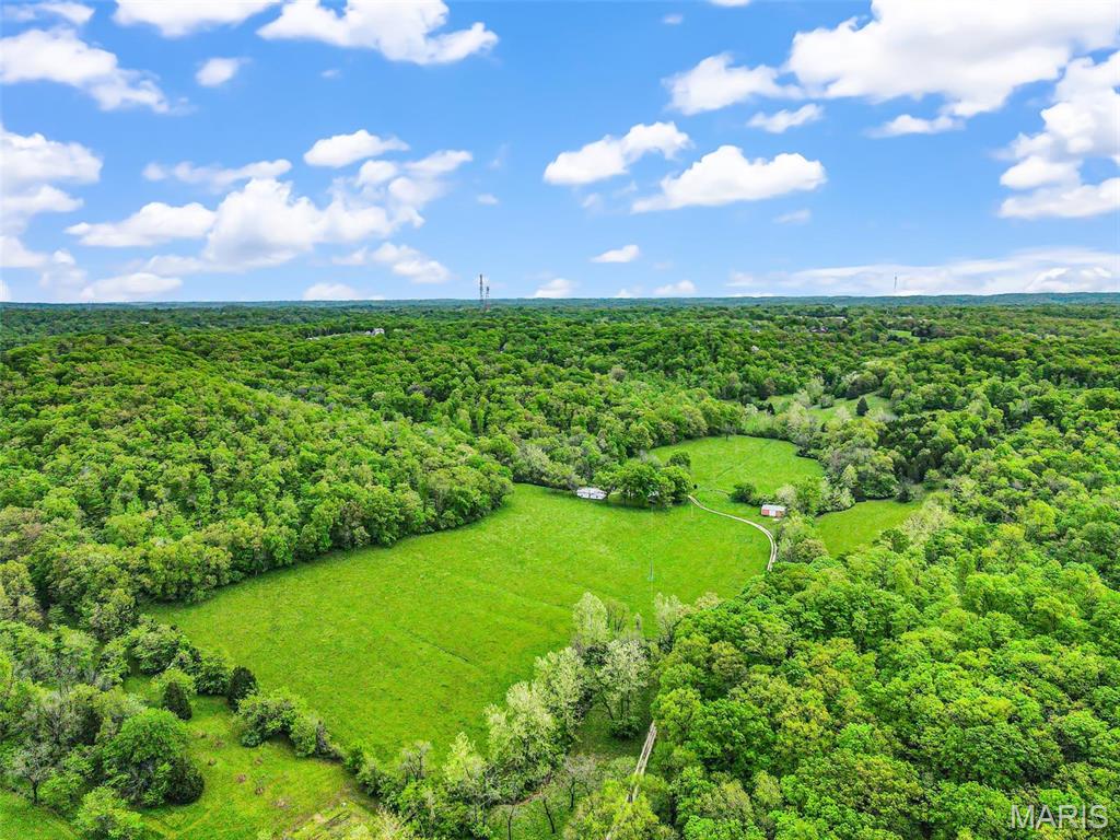 0 Springhill Road Pacific, MO 63069 - Photo 6 of 23