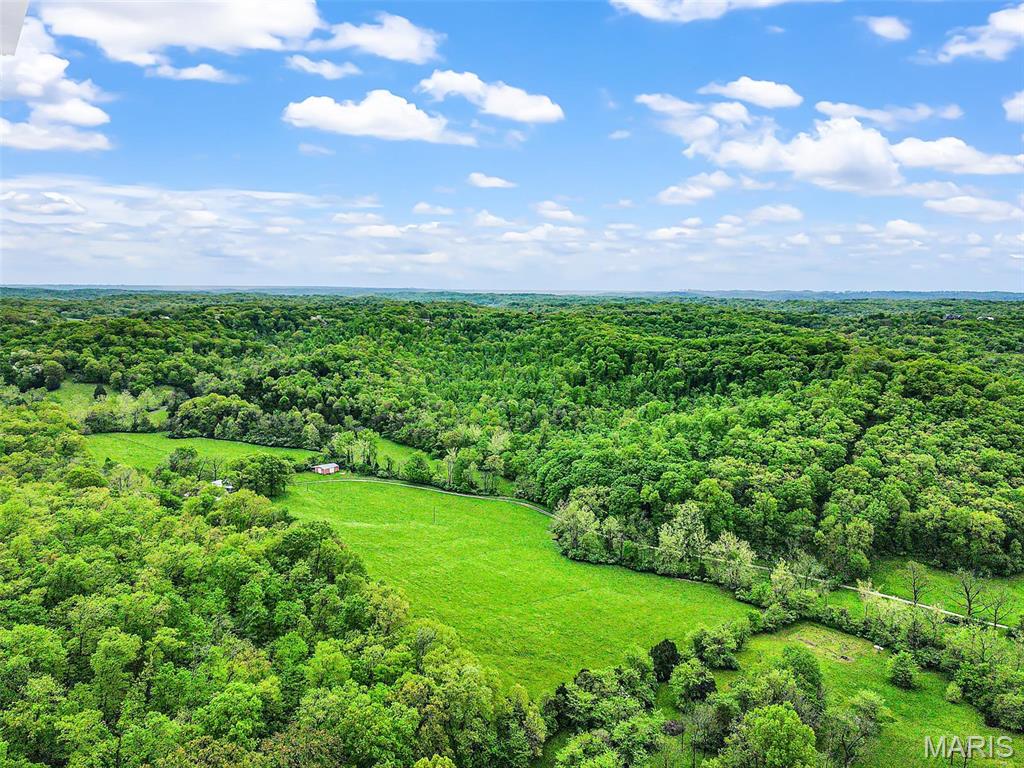 0 Springhill Road Pacific, MO 63069 - Photo 8 of 23