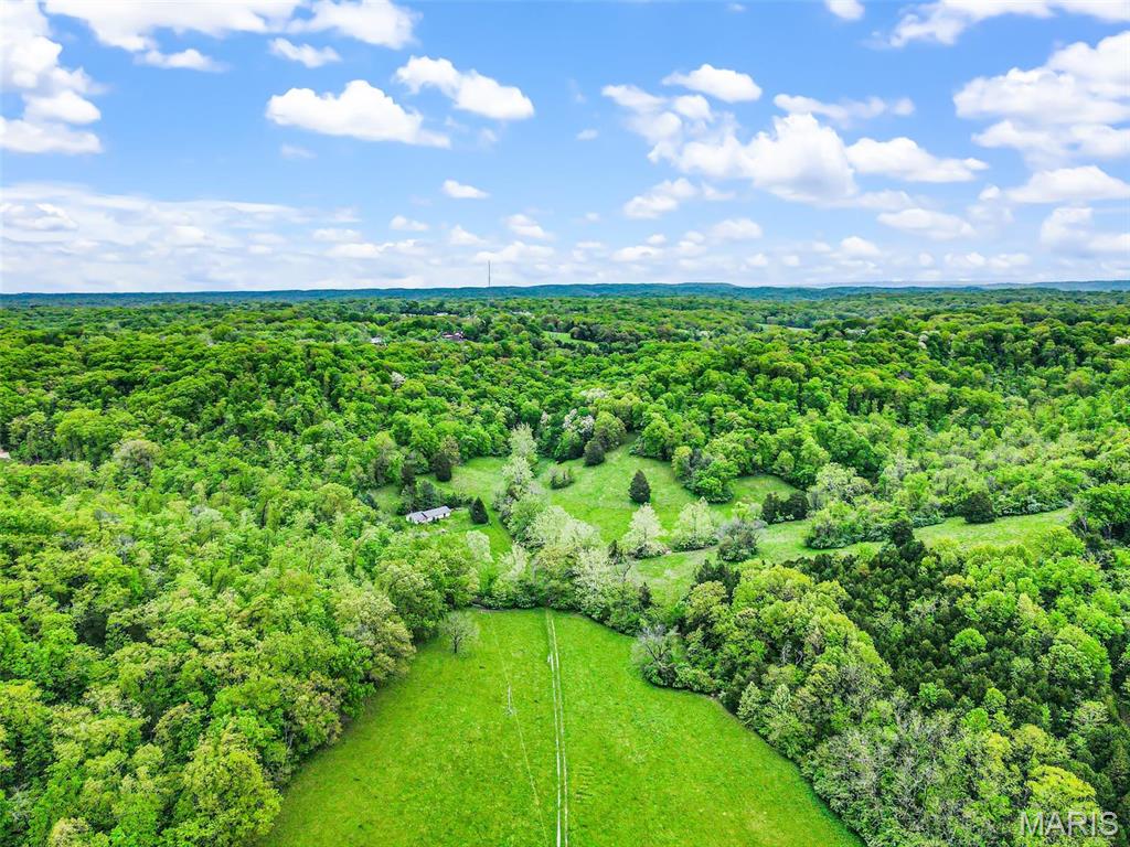 0 Springhill Road Pacific, MO 63069 - Photo 9 of 23