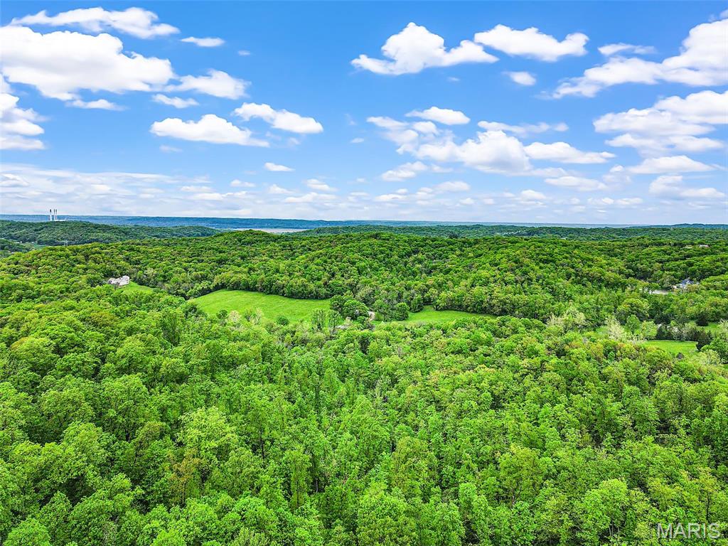 0 Springhill Road Pacific, MO 63069 - Photo 10 of 23