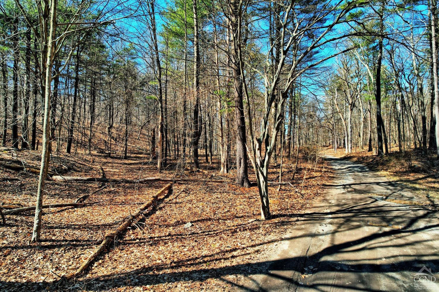 101 Lime Kiln Road Athens, NY 12015 - Photo 13 of 72 Photo 13