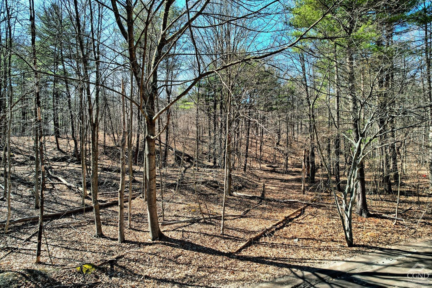 101 Lime Kiln Road Athens, NY 12015 - Photo 14 of 72 Photo 14