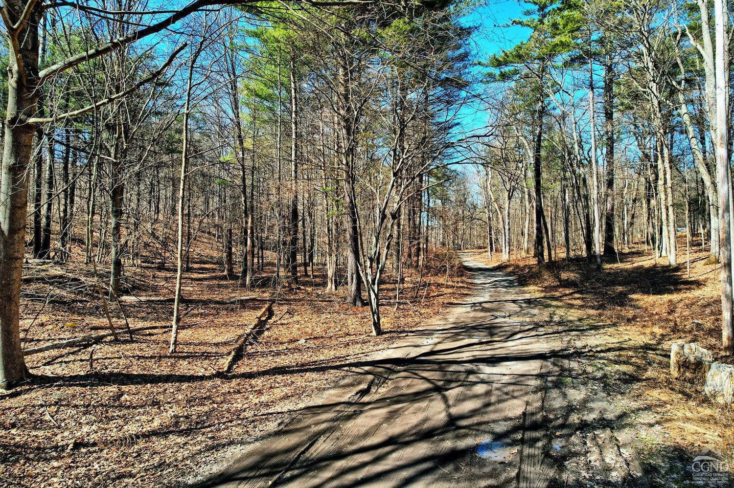 101 Lime Kiln Road Athens, NY 12015 - Photo 16 of 72 Photo 16