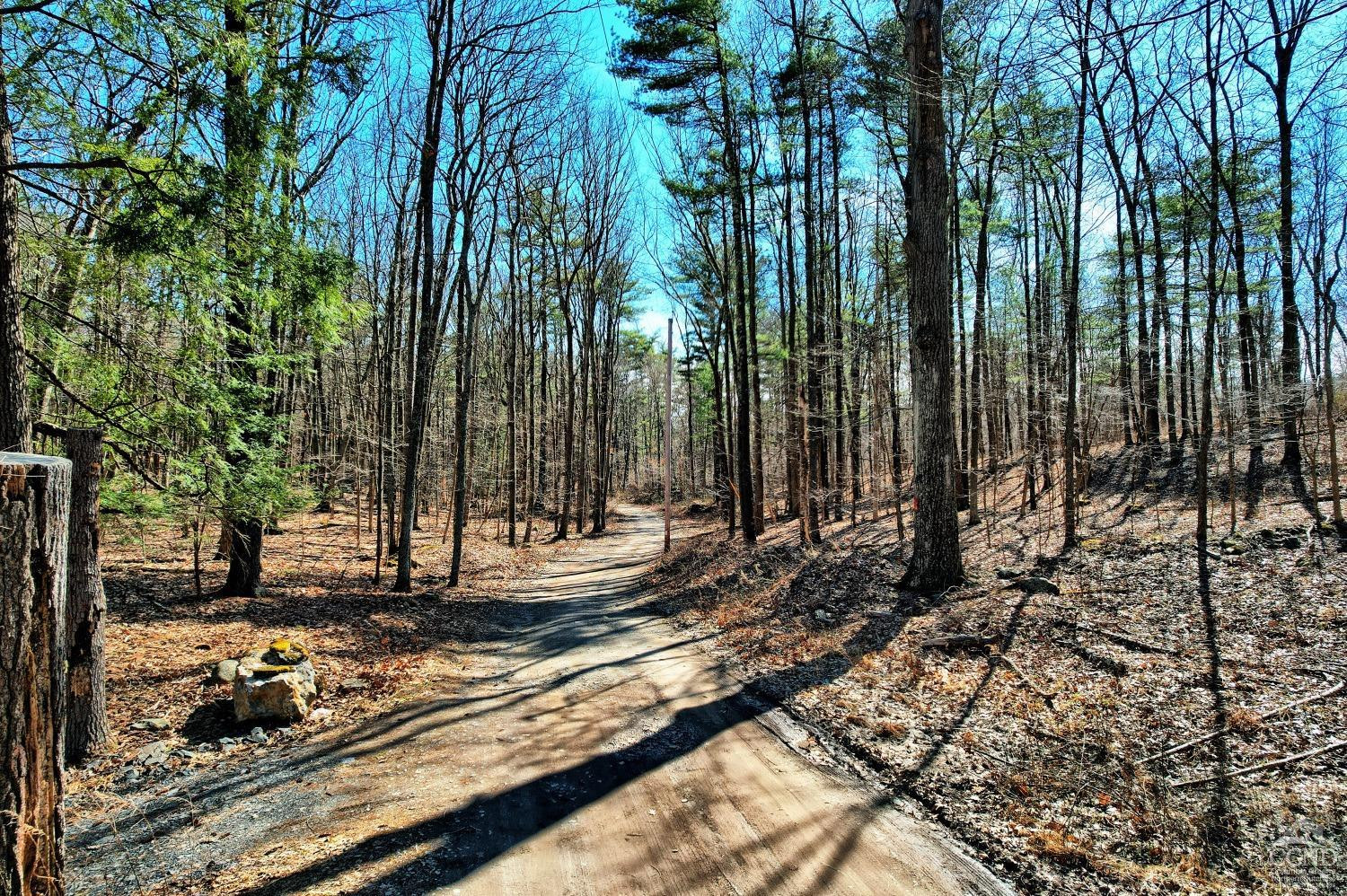 101 Lime Kiln Road Athens, NY 12015 - Photo 18 of 72 Photo 18