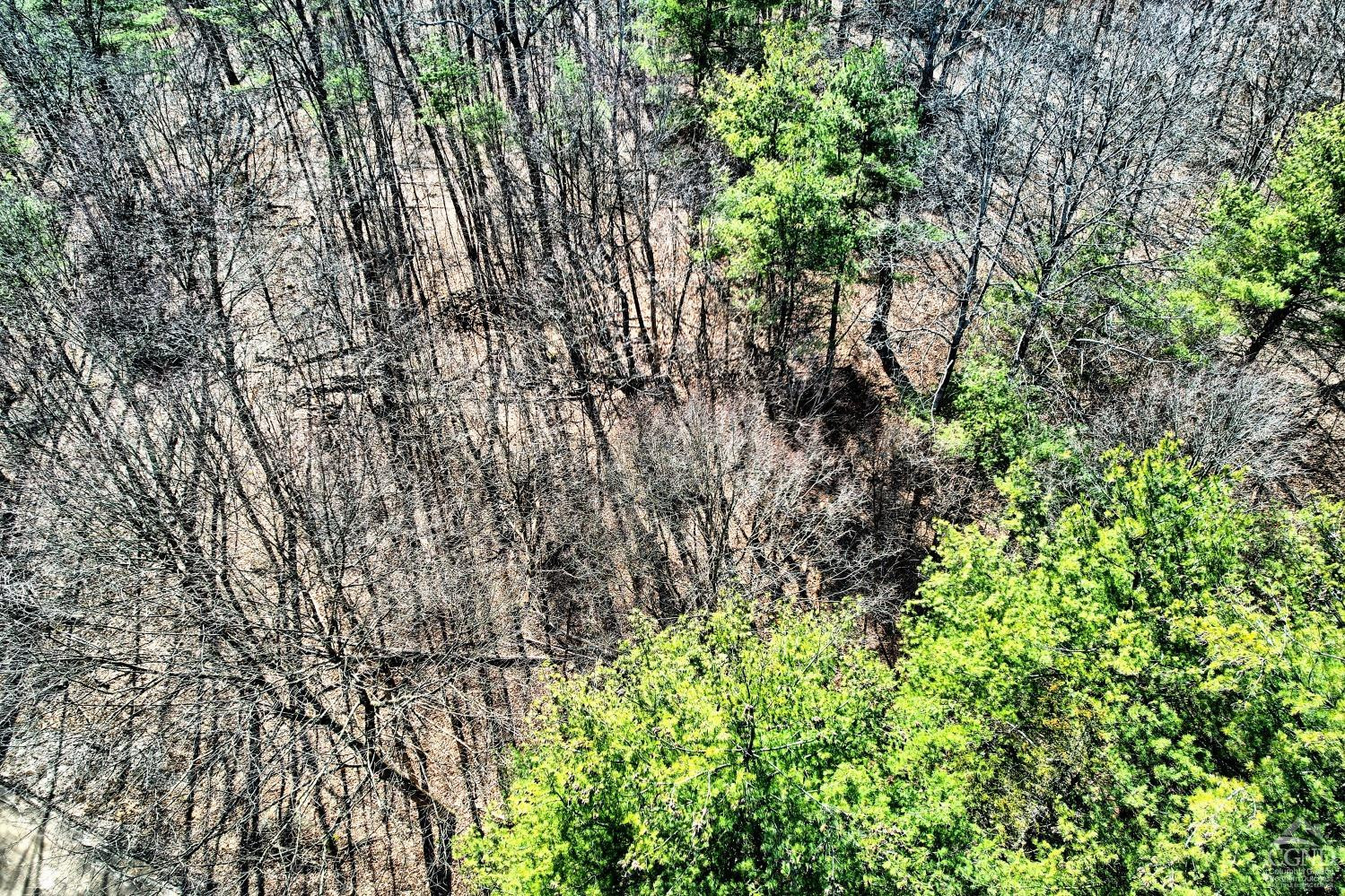 101 Lime Kiln Road Athens, NY 12015 - Photo 20 of 72 Photo 20