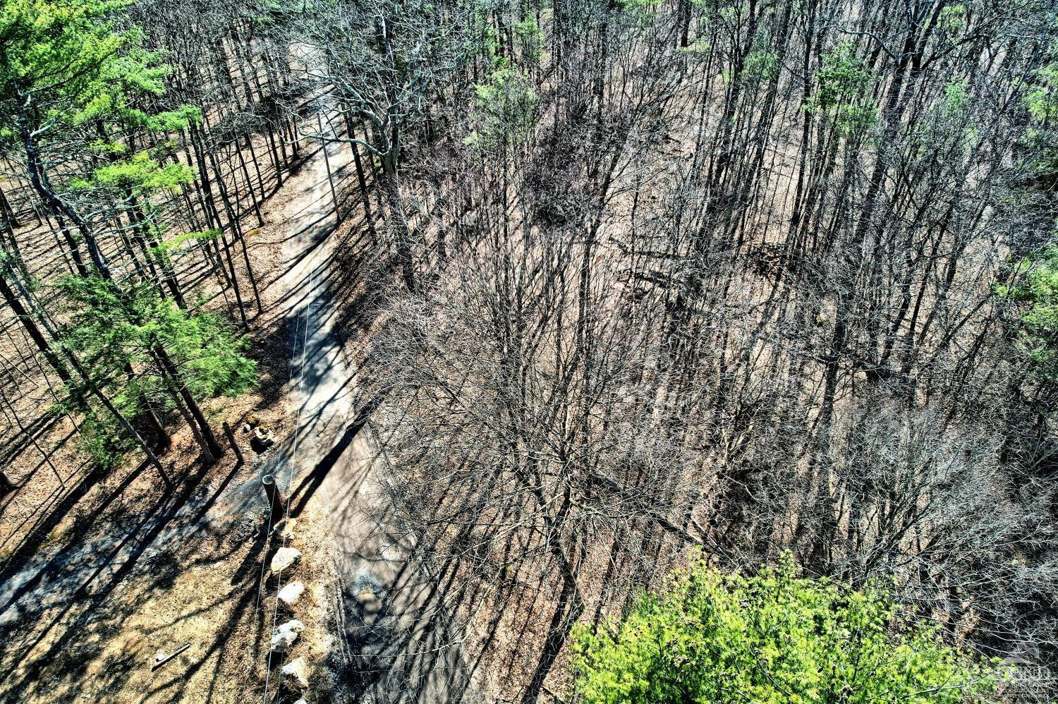 101 Lime Kiln Road Athens, NY 12015 - Photo 21 of 72 Photo 21