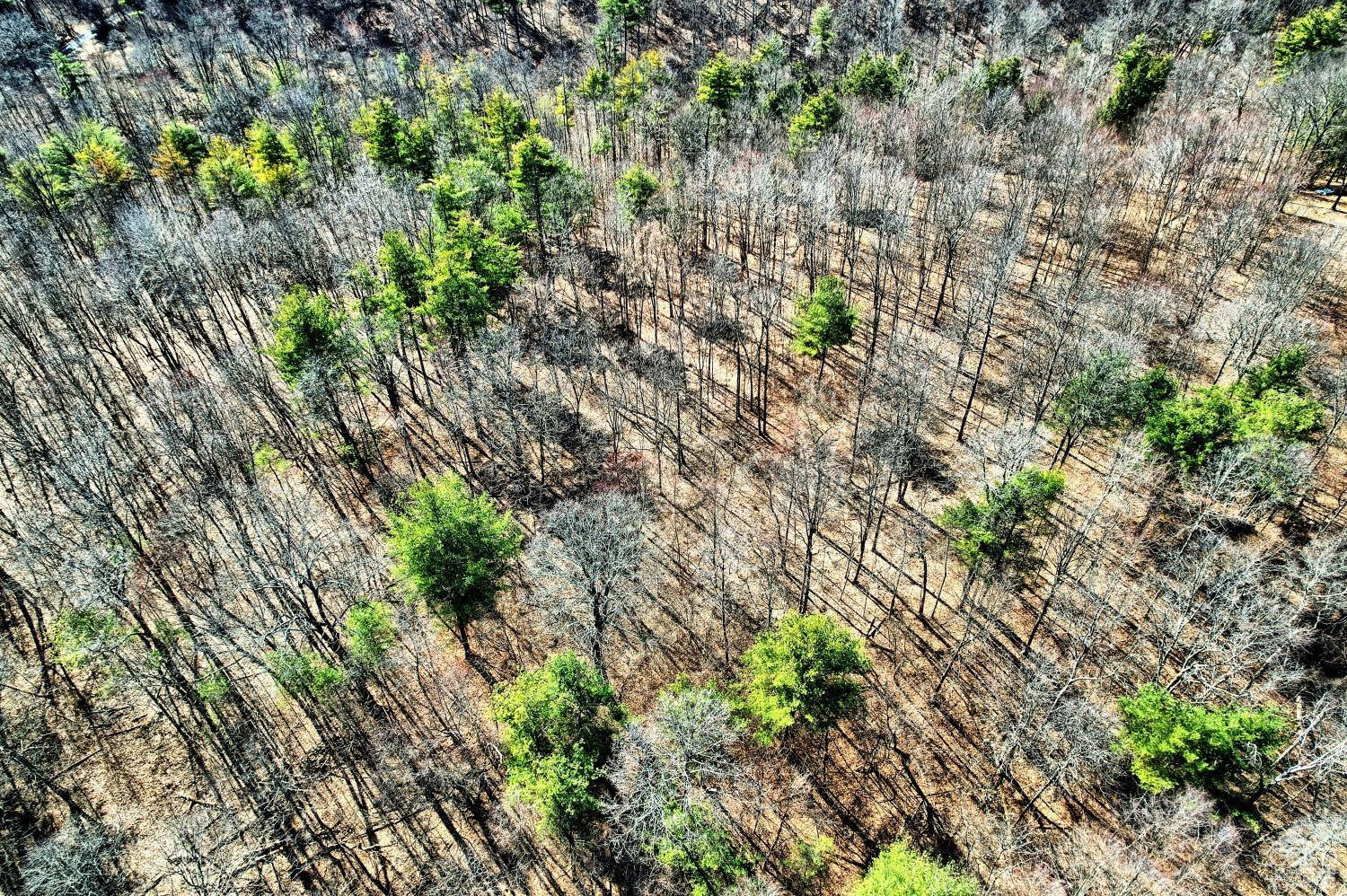 101 Lime Kiln Road Athens, NY 12015 - Photo 23 of 72 Photo 23
