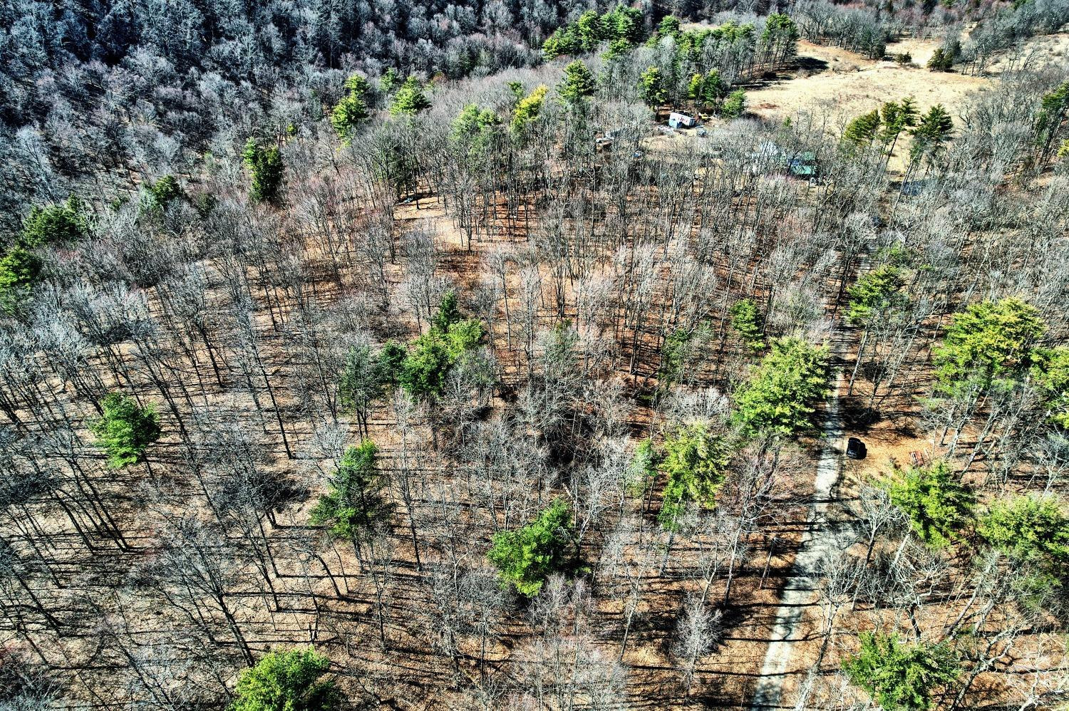 101 Lime Kiln Road Athens, NY 12015 - Photo 24 of 72 Photo 24