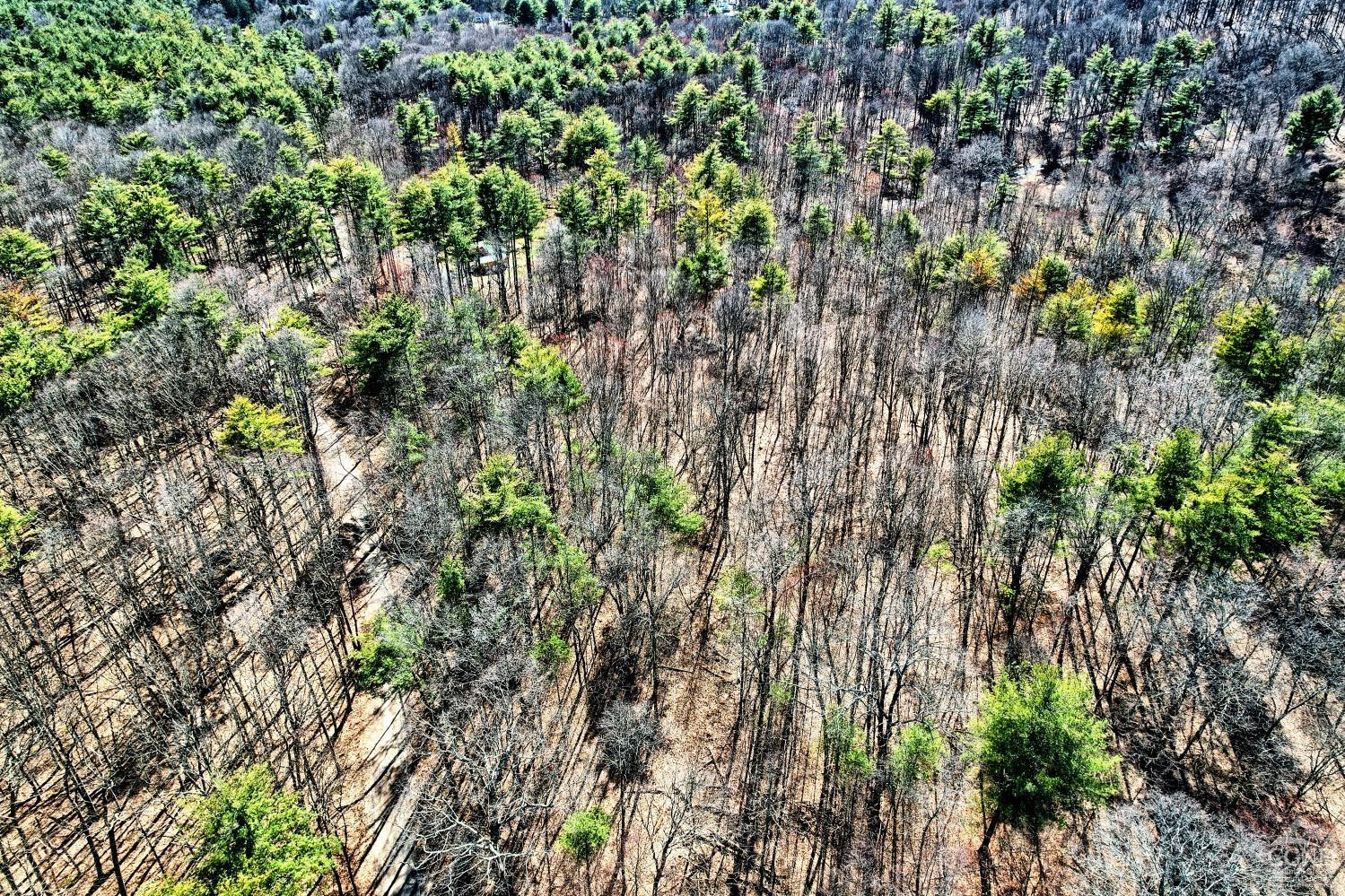 101 Lime Kiln Road Athens, NY 12015 - Photo 25 of 72 Photo 25