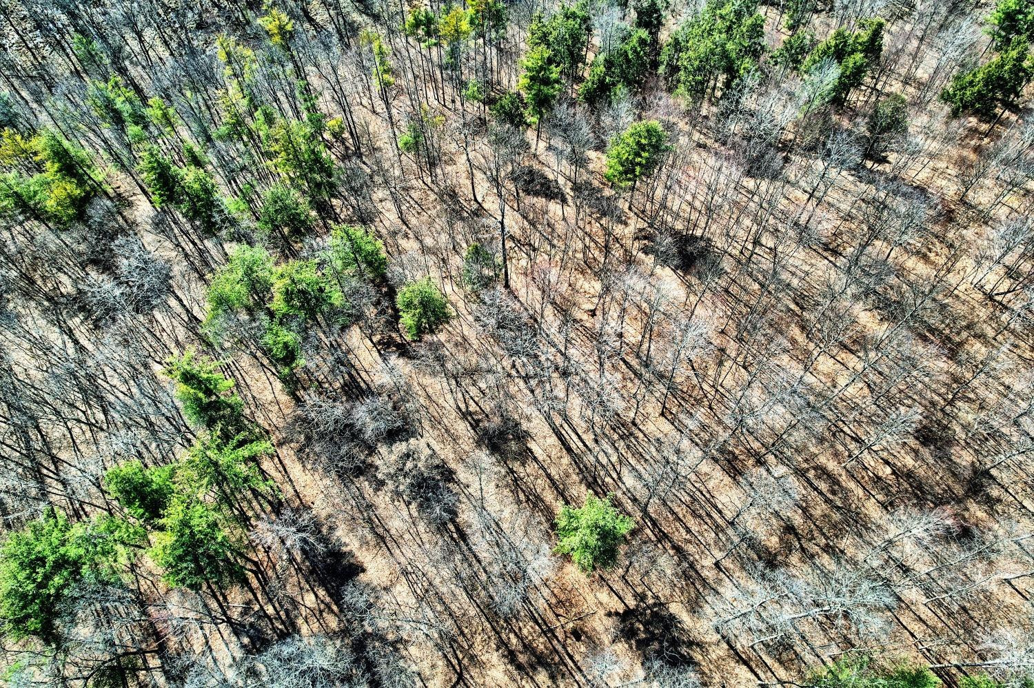101 Lime Kiln Road Athens, NY 12015 - Photo 30 of 72 Photo 30