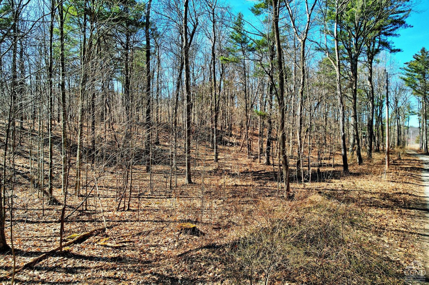 101 Lime Kiln Road Athens, NY 12015 - Photo 3 of 72 Photo 3