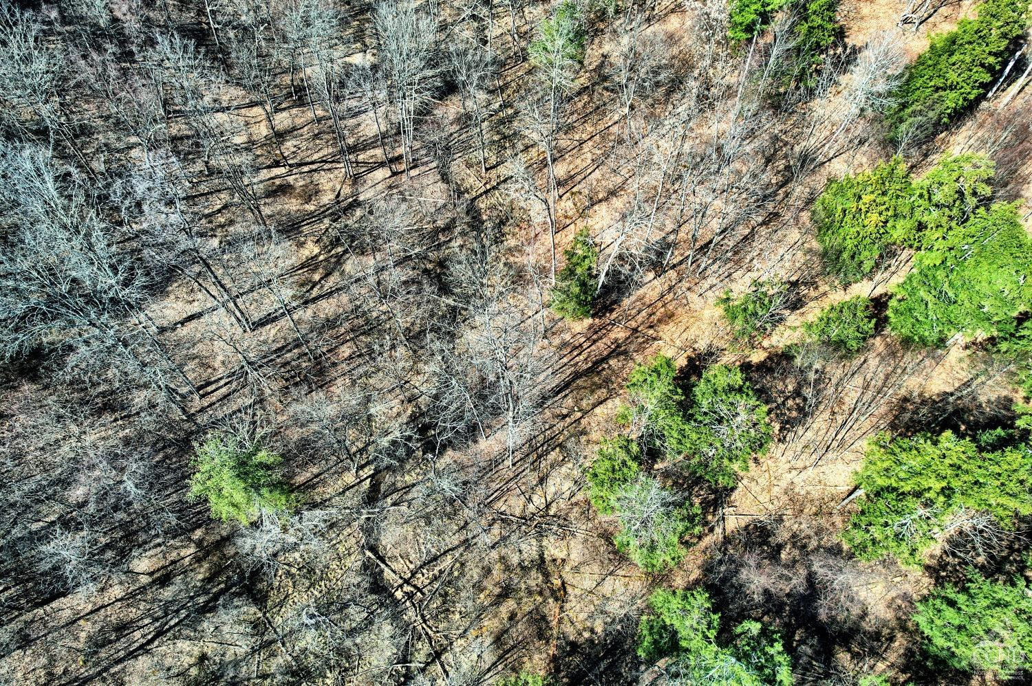 101 Lime Kiln Road Athens, NY 12015 - Photo 32 of 72 Photo 32