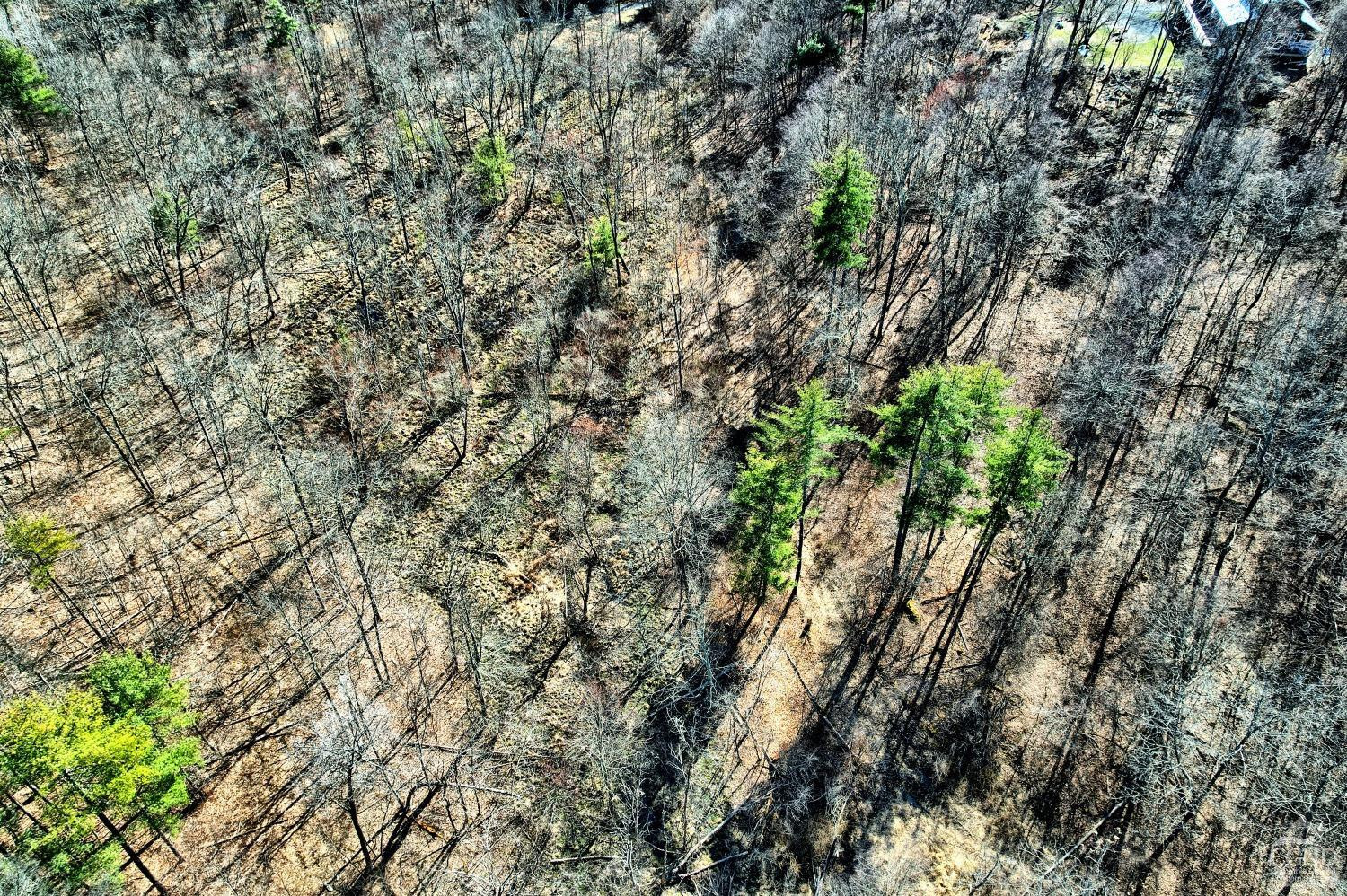 101 Lime Kiln Road Athens, NY 12015 - Photo 33 of 72 Photo 33