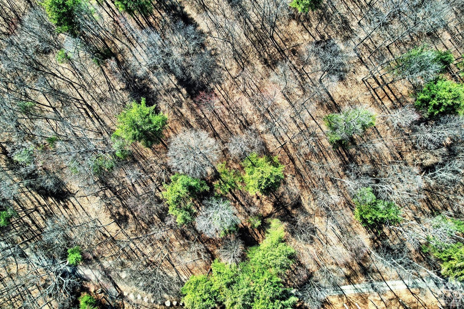 101 Lime Kiln Road Athens, NY 12015 - Photo 34 of 72 Photo 34