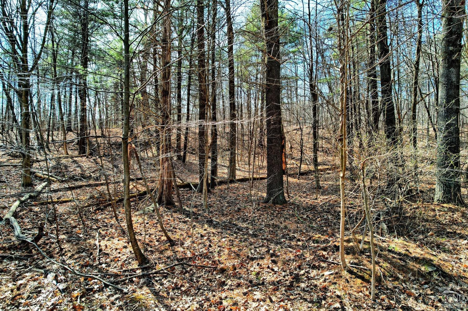 101 Lime Kiln Road Athens, NY 12015 - Photo 47 of 72 Photo 47