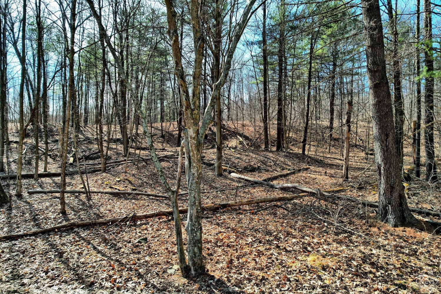 101 Lime Kiln Road Athens, NY 12015 - Photo 48 of 72 Photo 48