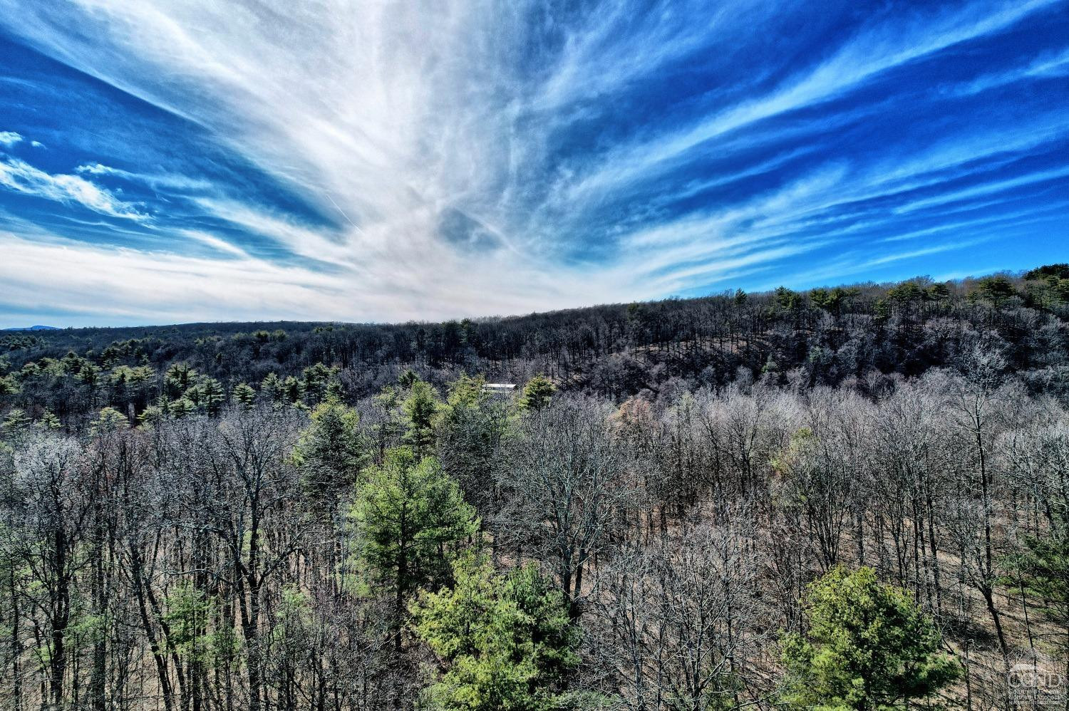 101 Lime Kiln Road Athens, NY 12015 - Photo 49 of 72 Photo 49