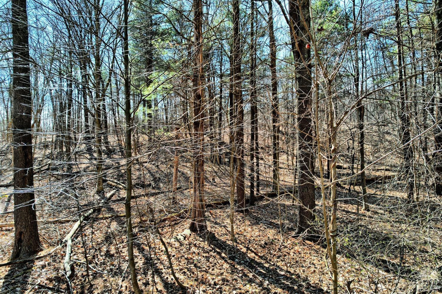 101 Lime Kiln Road Athens, NY 12015 - Photo 5 of 72 Photo 5