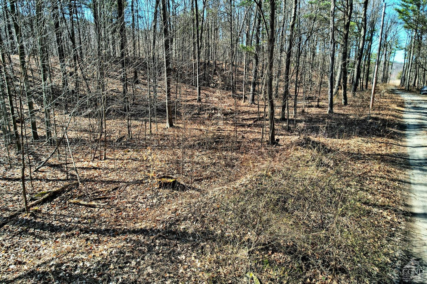 101 Lime Kiln Road Athens, NY 12015 - Photo 53 of 72 Photo 53