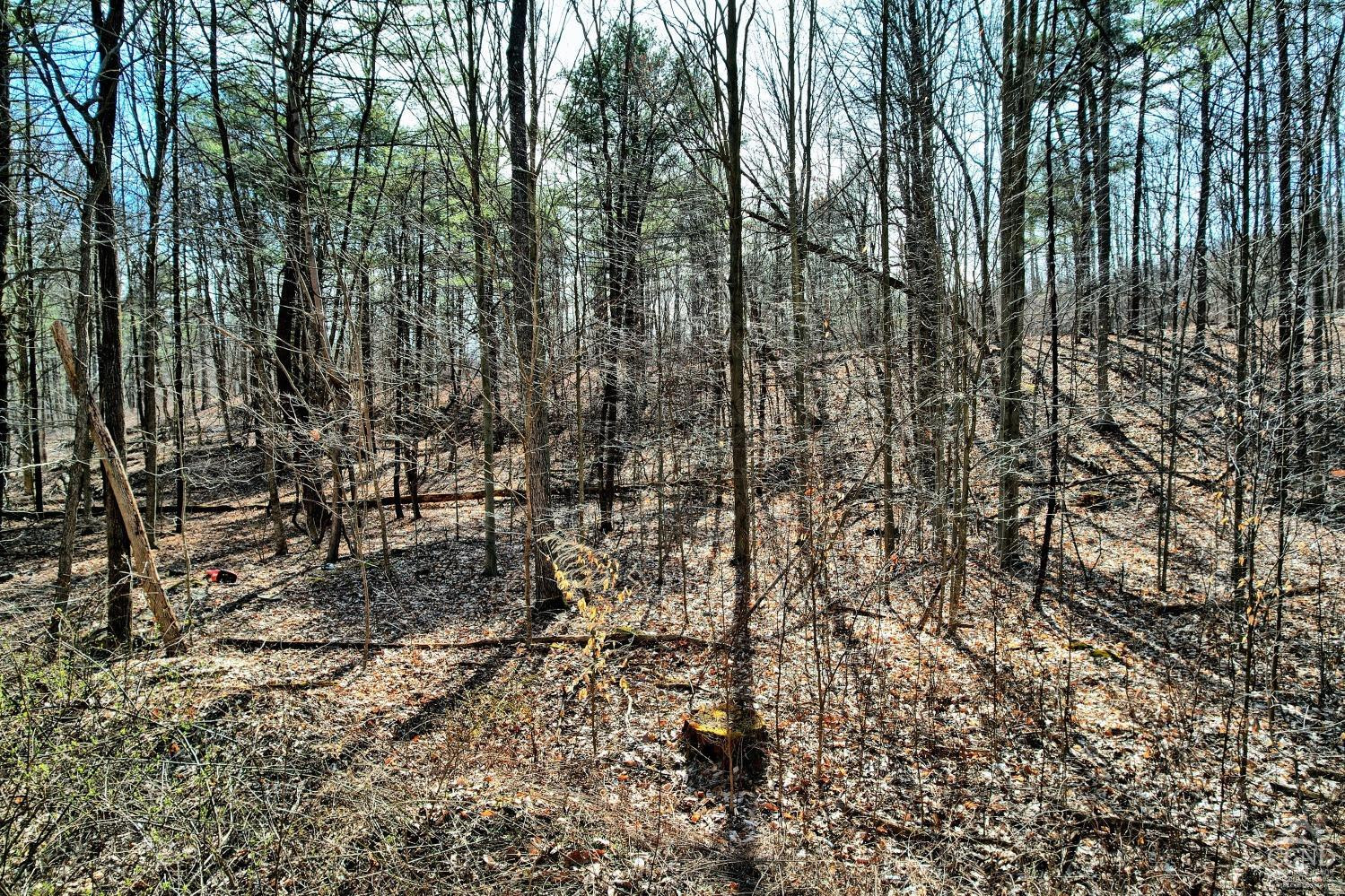 101 Lime Kiln Road Athens, NY 12015 - Photo 54 of 72 Photo 54