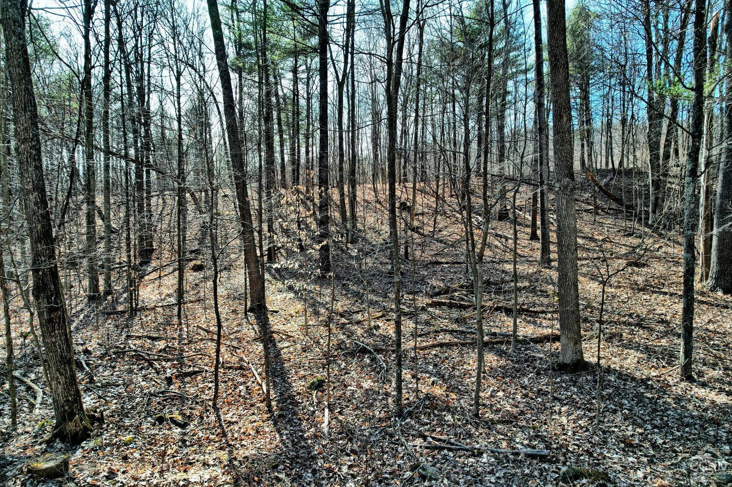 101 Lime Kiln Road Athens, NY 12015 - Photo 55 of 72 Photo 55