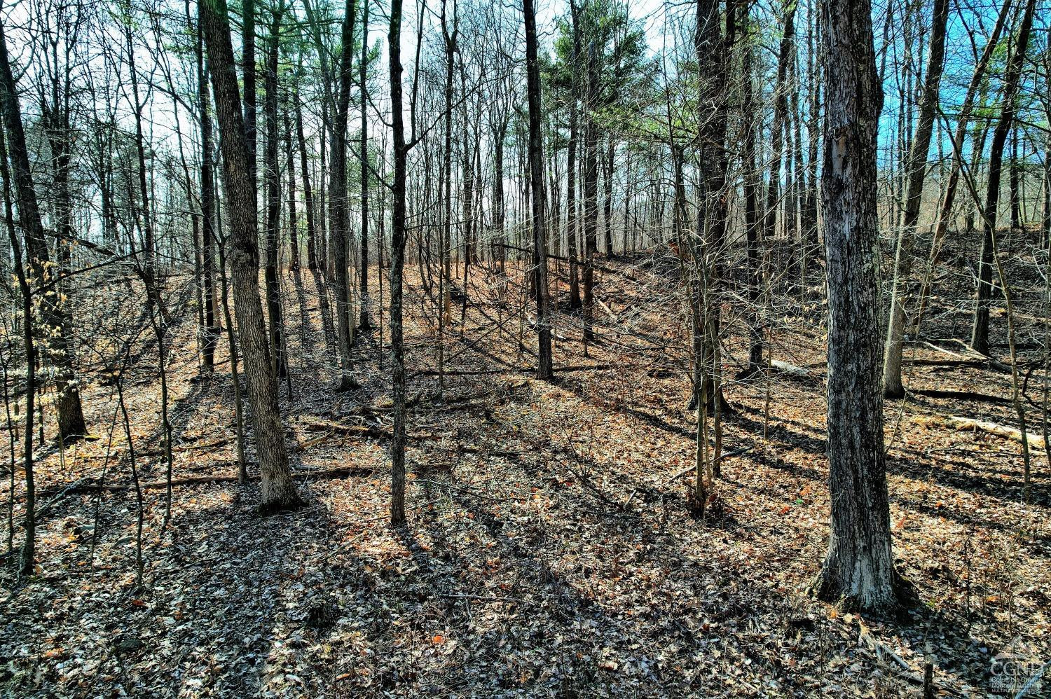101 Lime Kiln Road Athens, NY 12015 - Photo 56 of 72 Photo 56