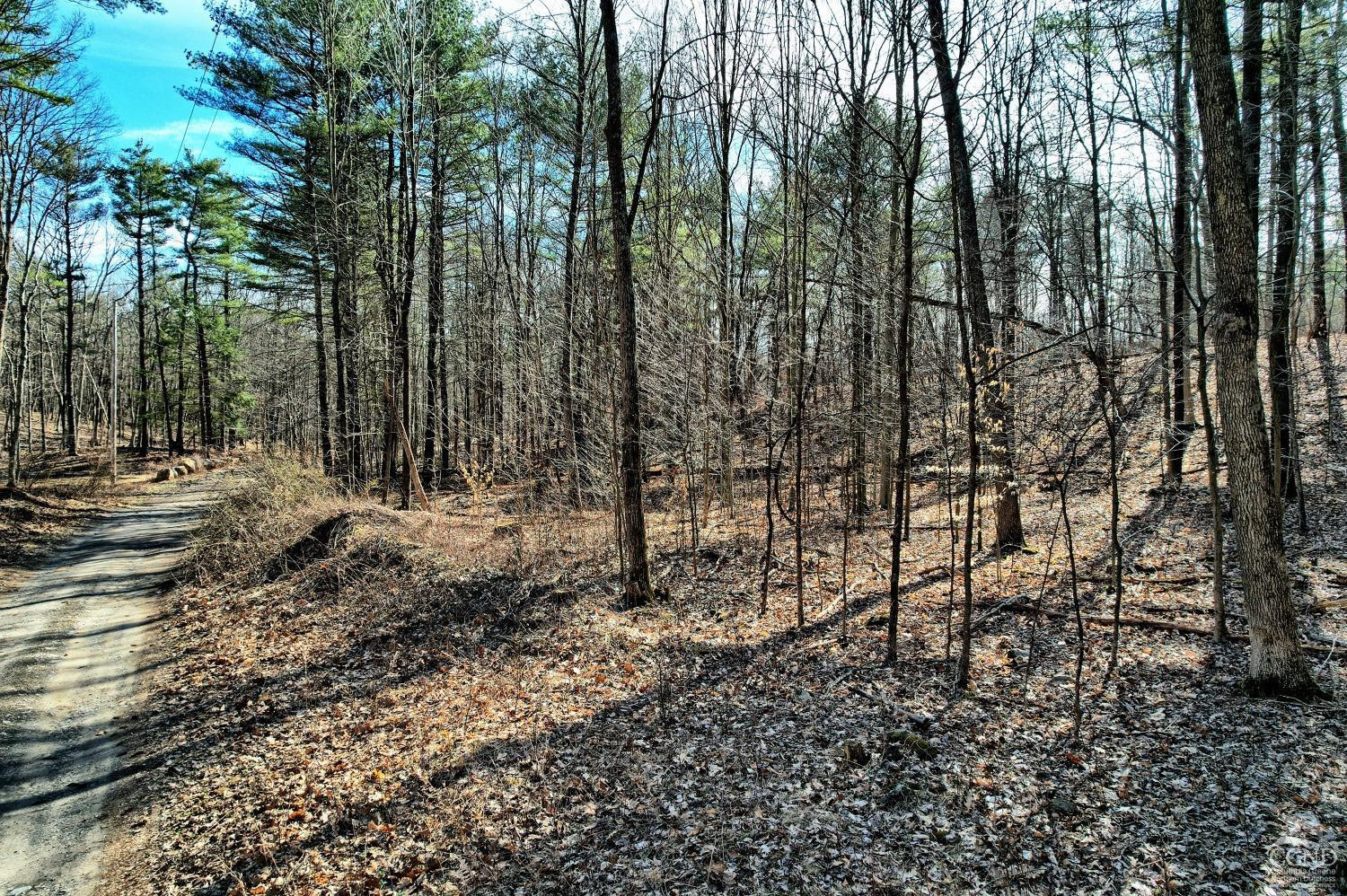 101 Lime Kiln Road Athens, NY 12015 - Photo 57 of 72 Photo 57