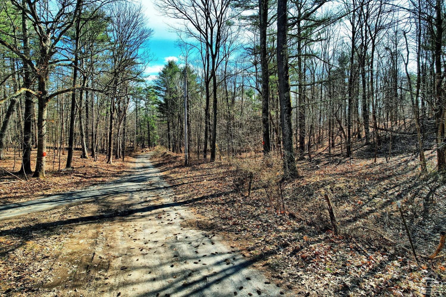 101 Lime Kiln Road Athens, NY 12015 - Photo 59 of 72 Photo 59