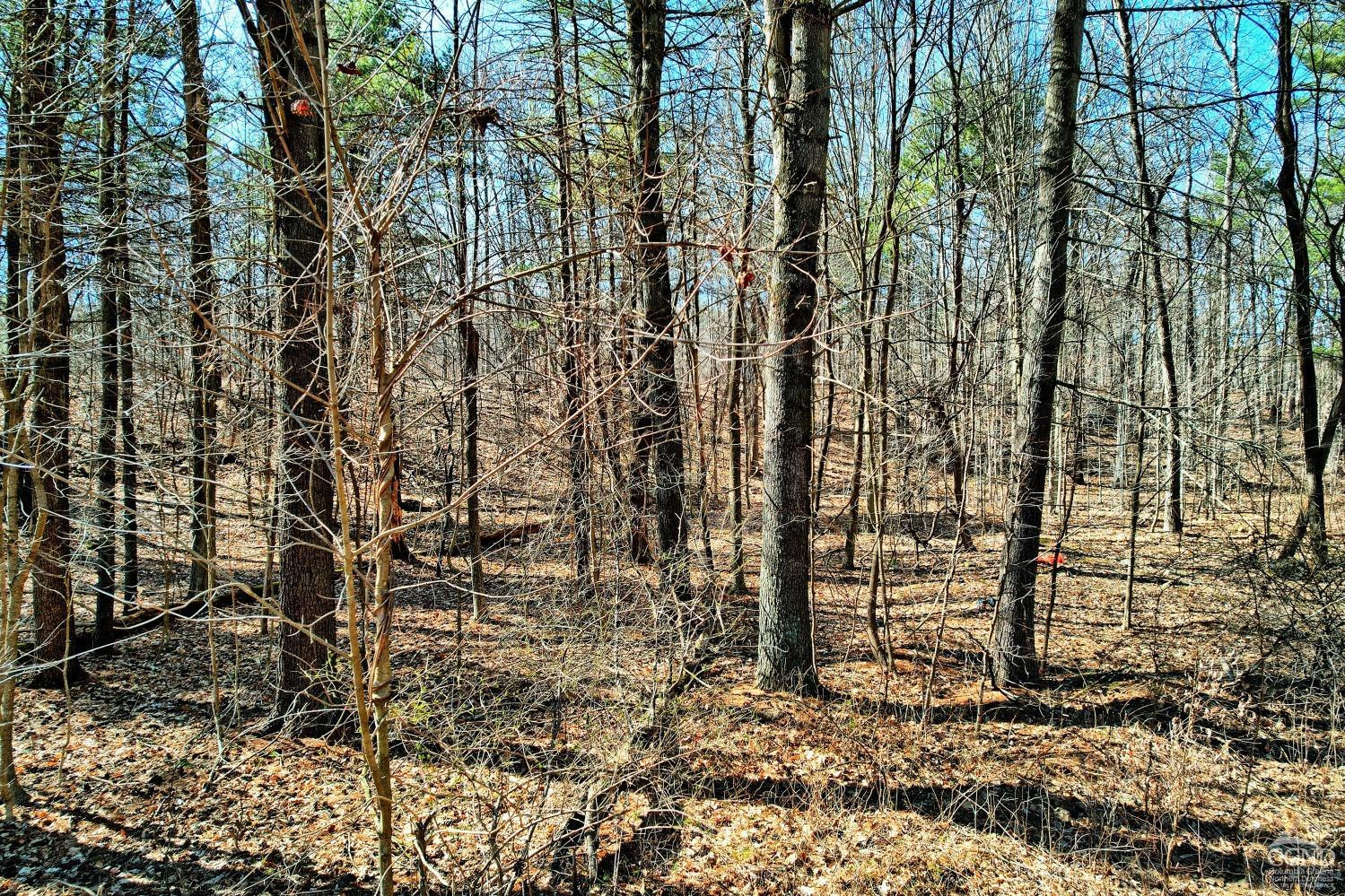 101 Lime Kiln Road Athens, NY 12015 - Photo 6 of 72 Photo 6