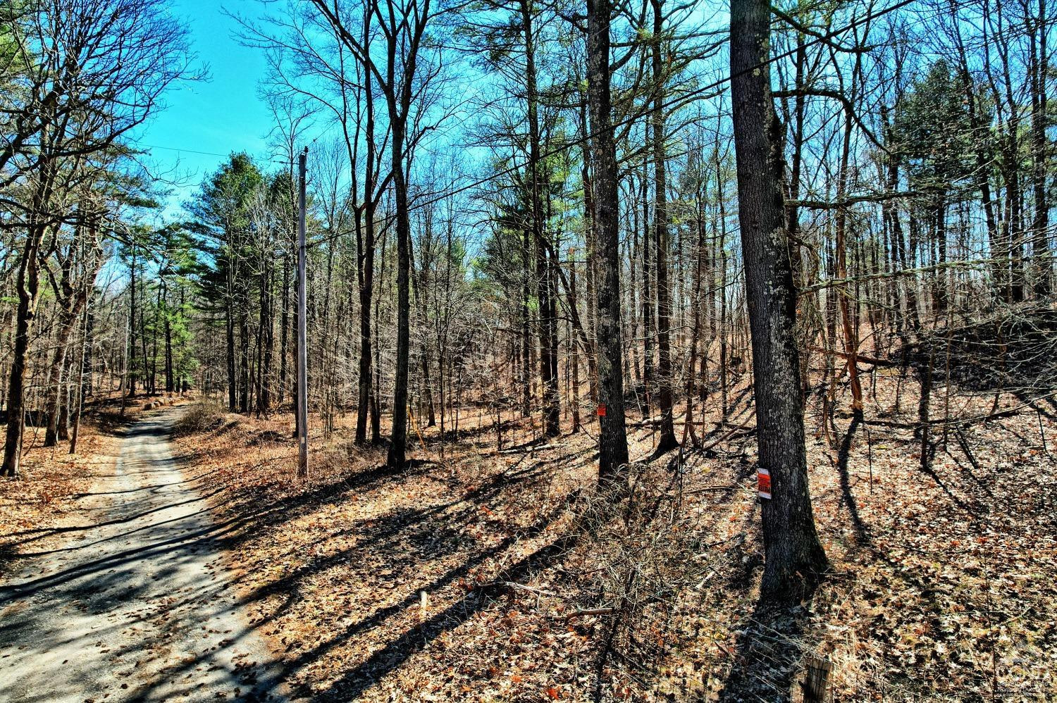 101 Lime Kiln Road Athens, NY 12015 - Photo 62 of 72 Photo 62