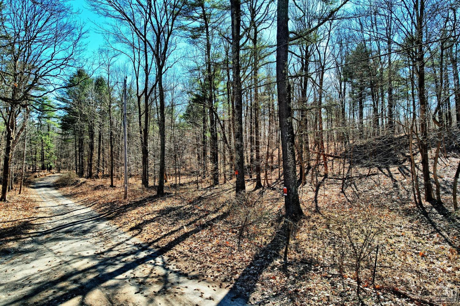 101 Lime Kiln Road Athens, NY 12015 - Photo 63 of 72 Photo 63
