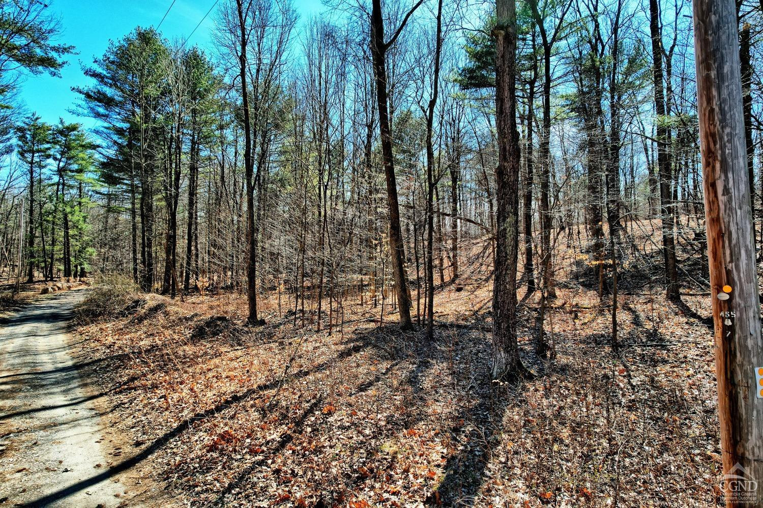 101 Lime Kiln Road Athens, NY 12015 - Photo 64 of 72 Photo 64