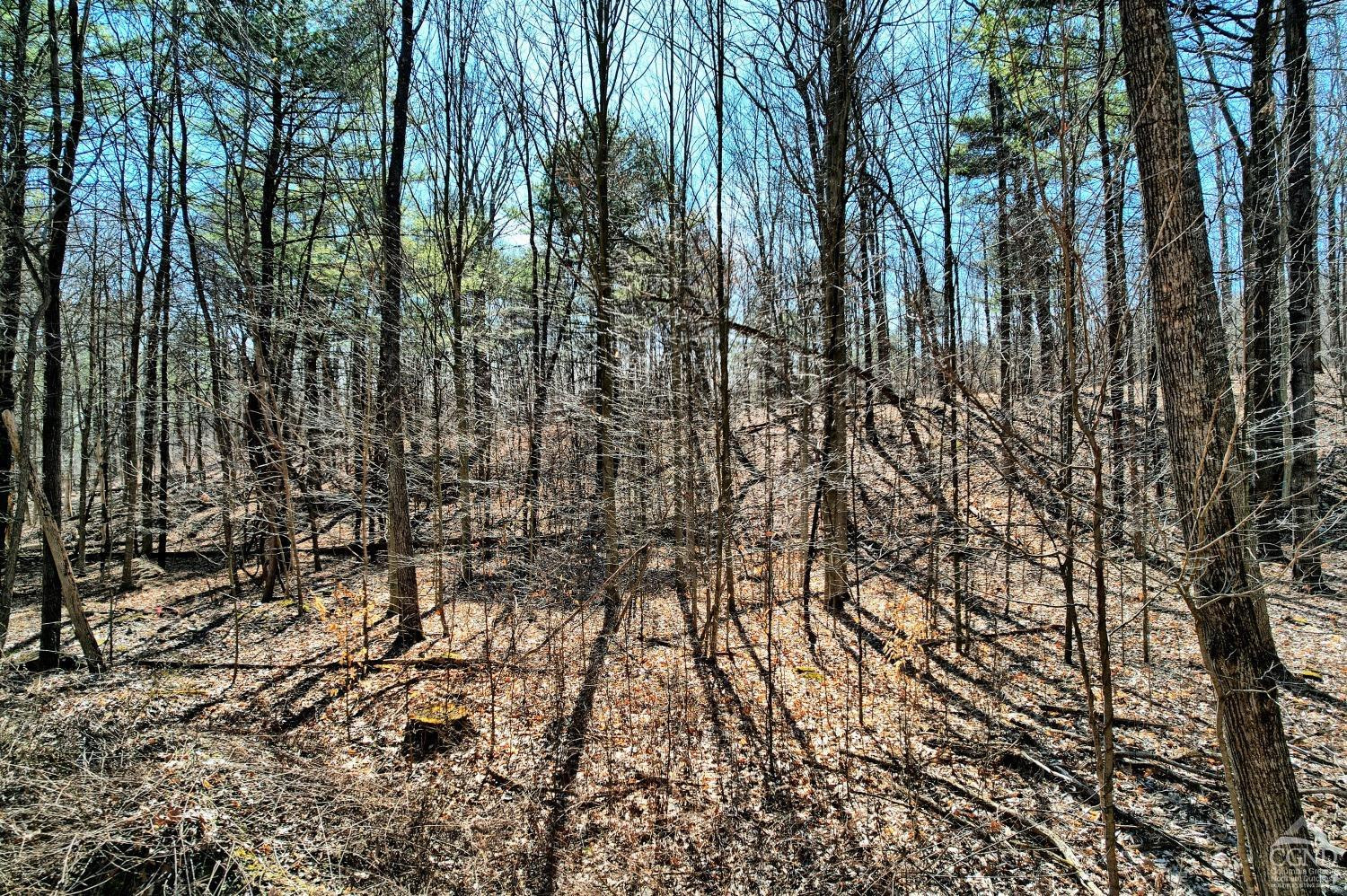 101 Lime Kiln Road Athens, NY 12015 - Photo 65 of 72 Photo 65