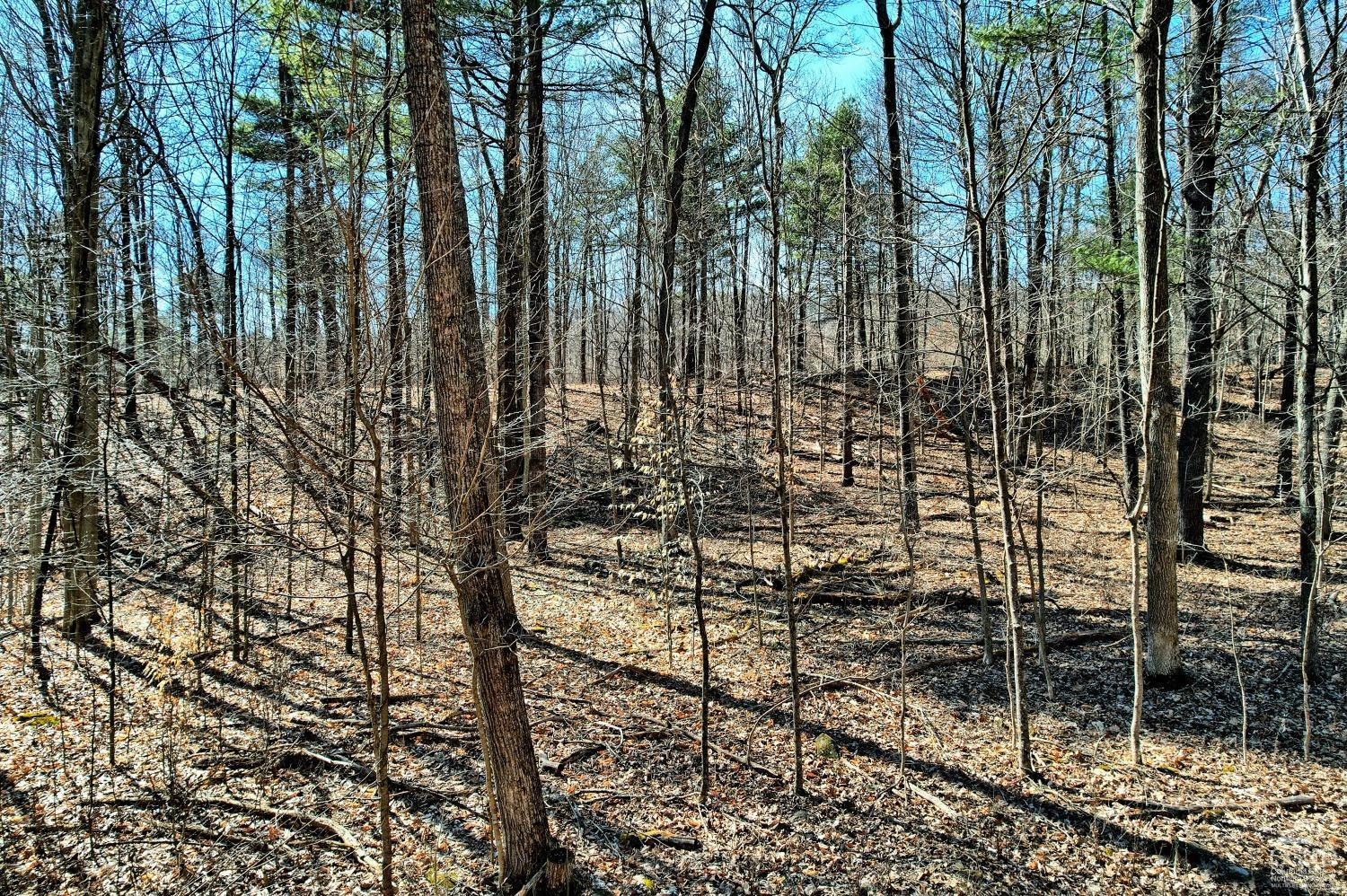 101 Lime Kiln Road Athens, NY 12015 - Photo 66 of 72 Photo 66