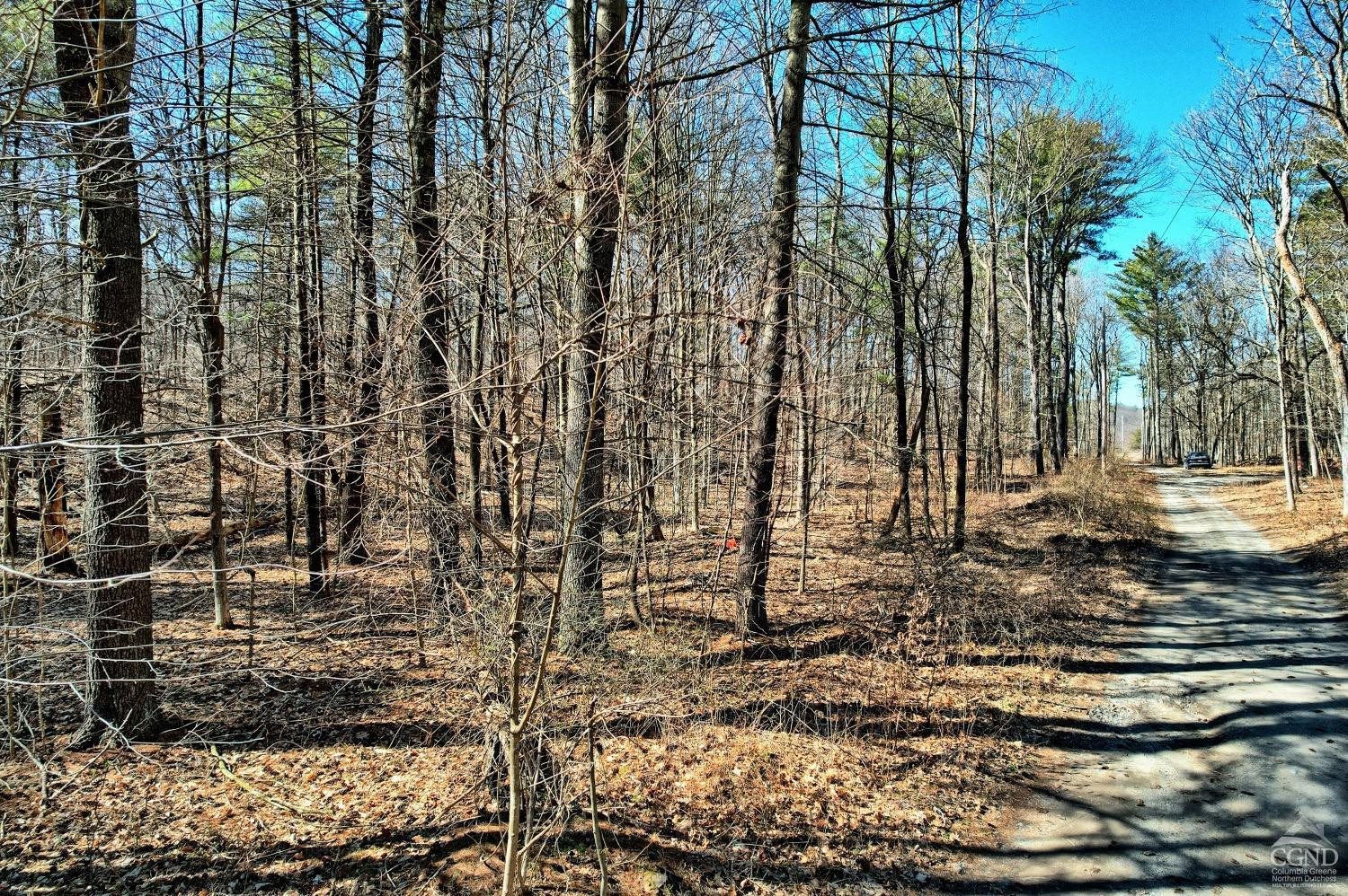 101 Lime Kiln Road Athens, NY 12015 - Photo 7 of 72 Photo 7