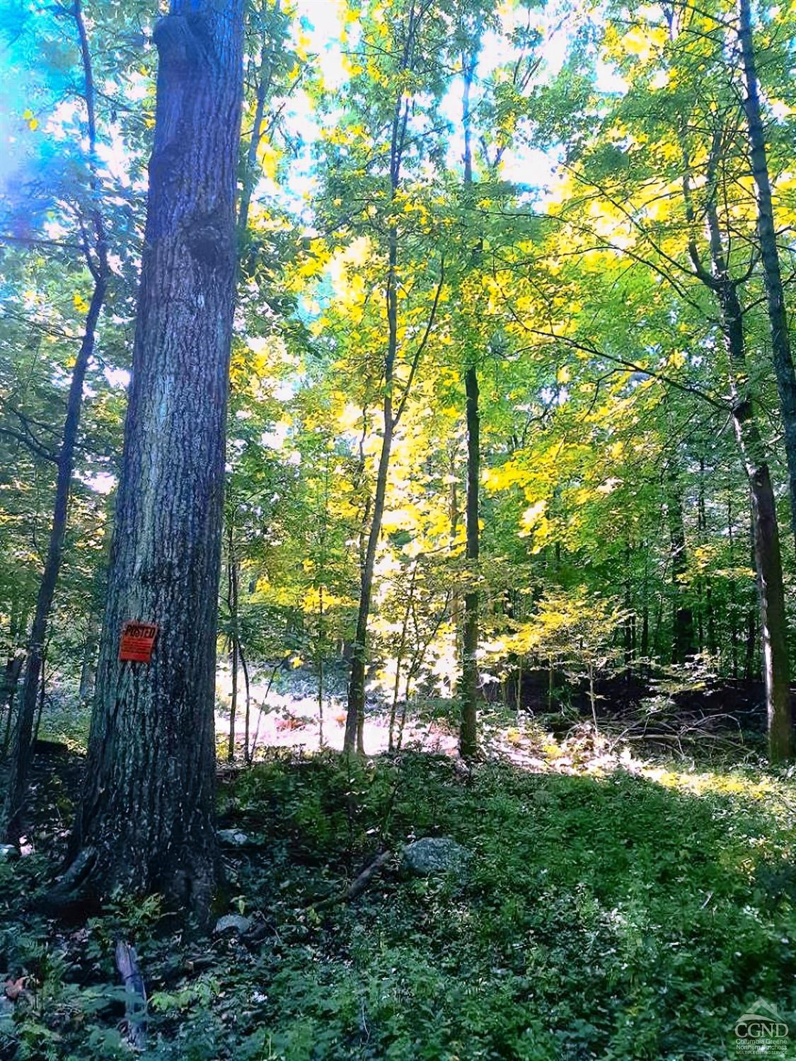 101 Lime Kiln Road Athens, NY 12015 - Photo 72 of 72 Photo 72
