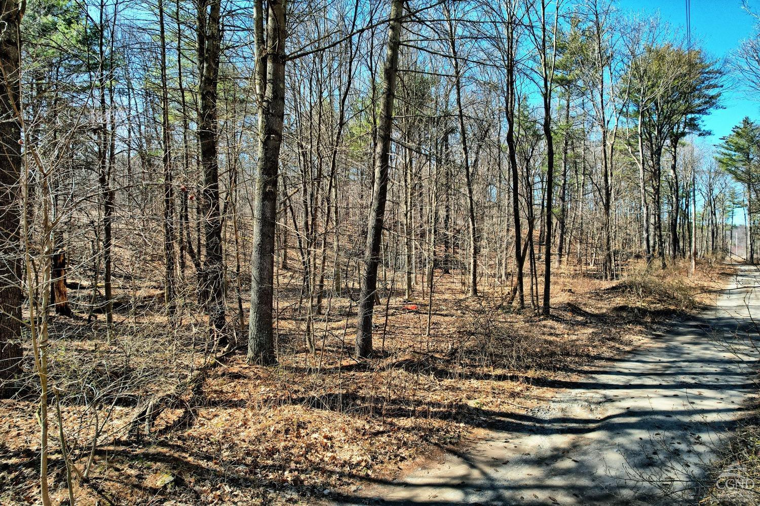101 Lime Kiln Road Athens, NY 12015 - Photo 8 of 72 Photo 8