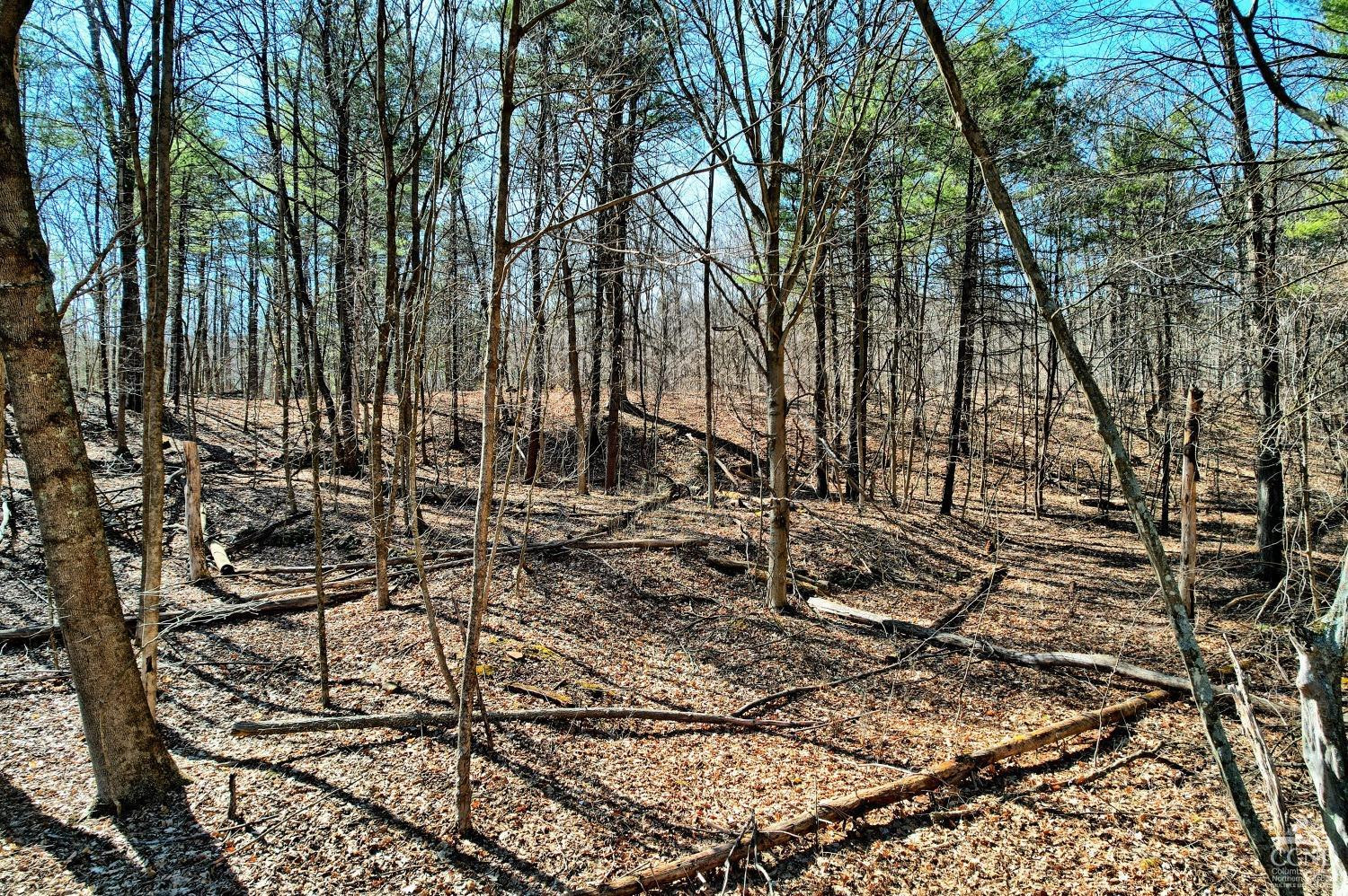 101 Lime Kiln Road Athens, NY 12015 - Photo 9 of 72 Photo 9
