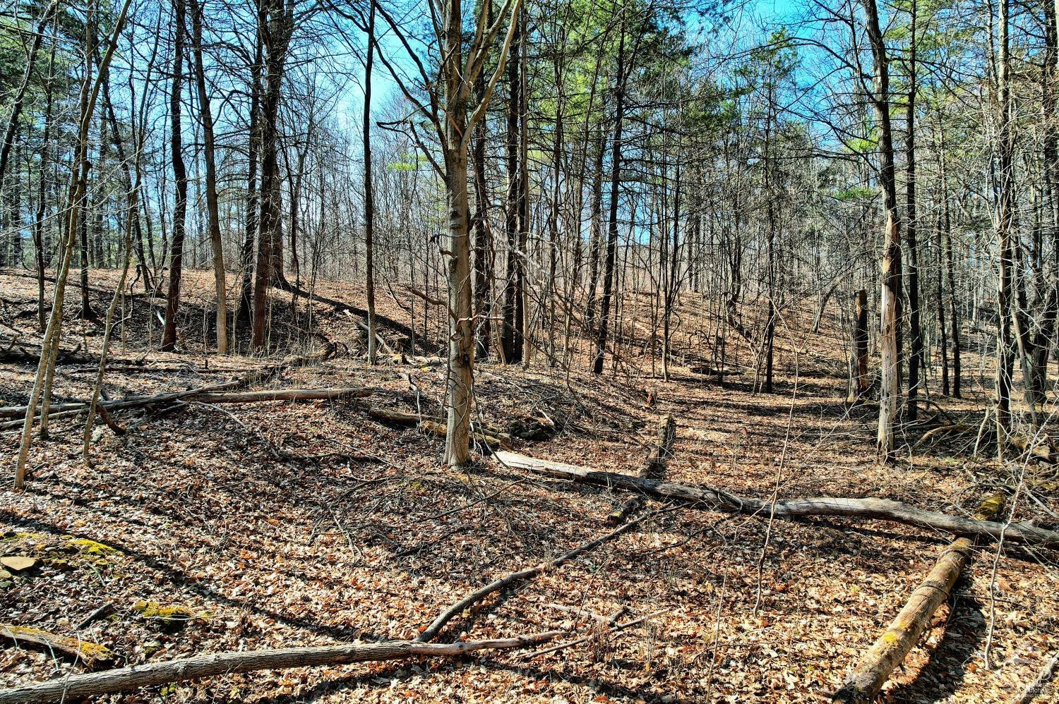 101 Lime Kiln Road Athens, NY 12015 - Photo 10 of 72 Photo 10