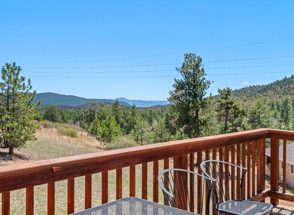 33626 Lutes Road Pine, CO 80470 - Photo 13 of 35