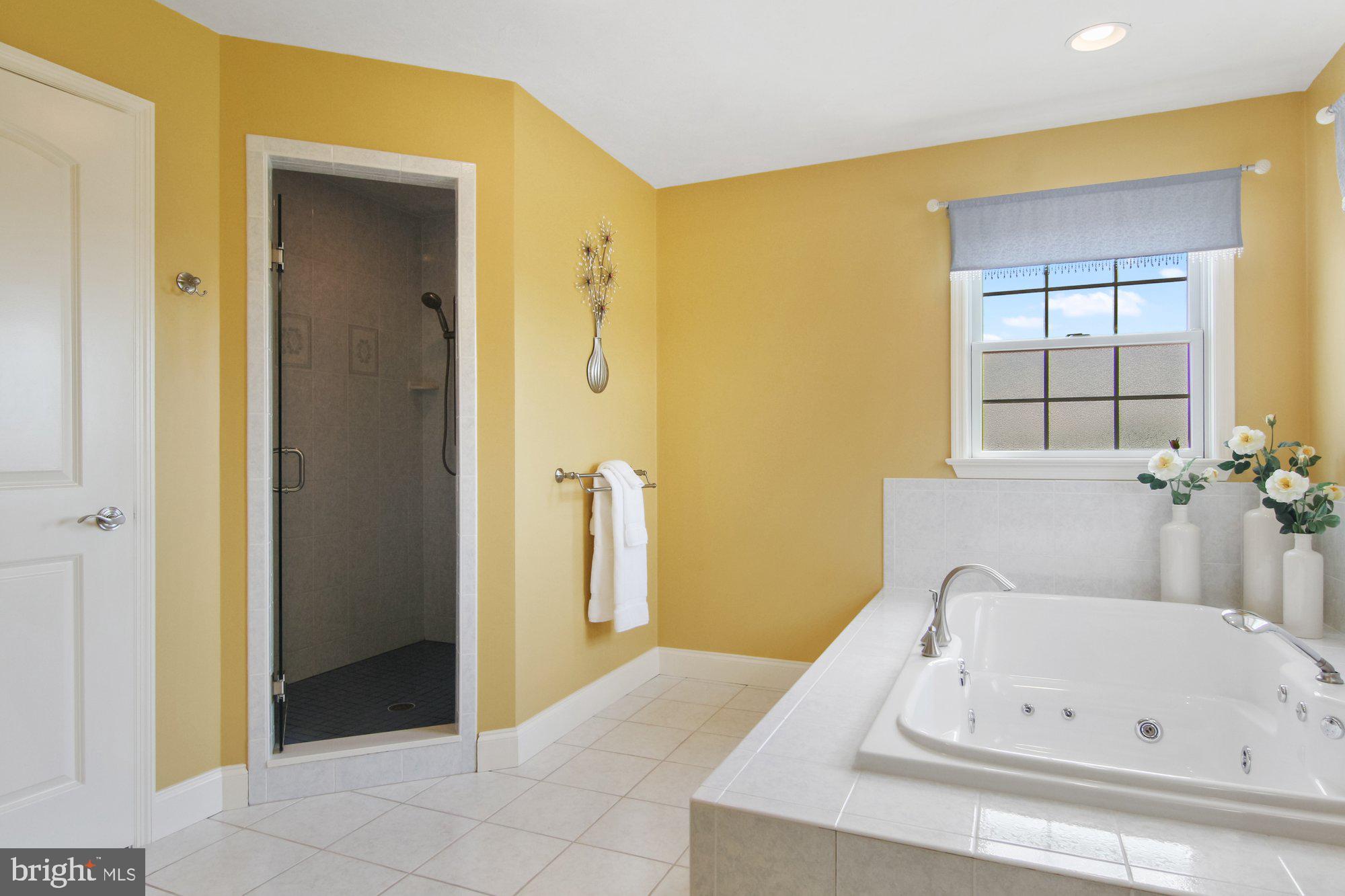 1306 Butter Churn Road Middletown, PA 17057 - Photo 22 of 32 Primary Bathroom