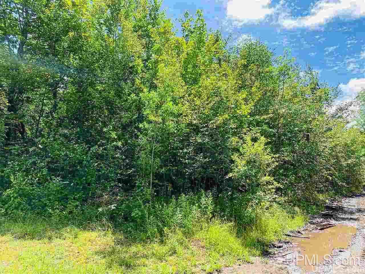 Tbd Oak Ridge Road Lake Linden, MI 49945 - Photo 5 of 10