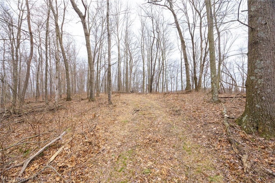 71 Township Road Killbuck, OH 44637 - Photo 24 of 39